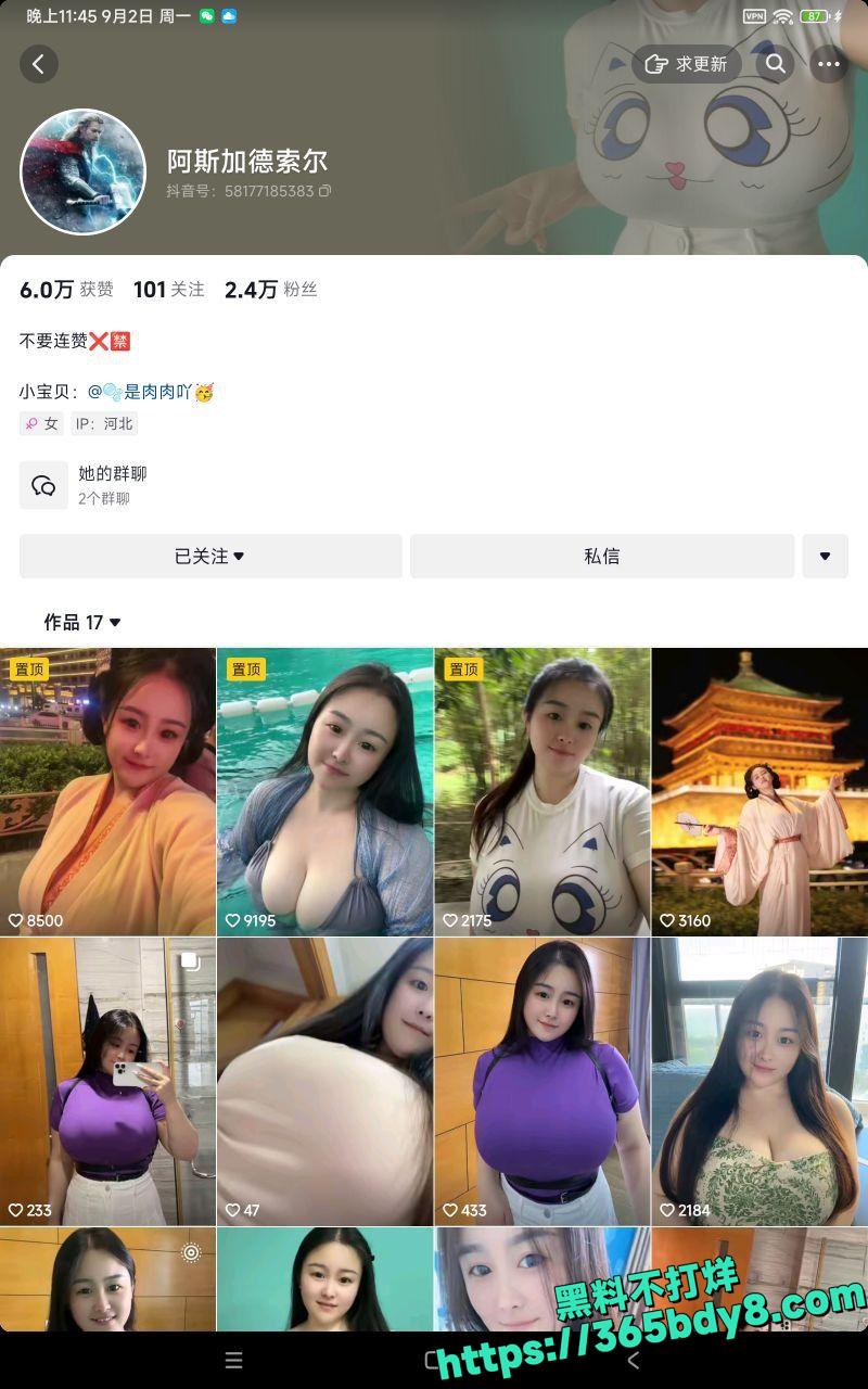 阿斯佳德索尔2