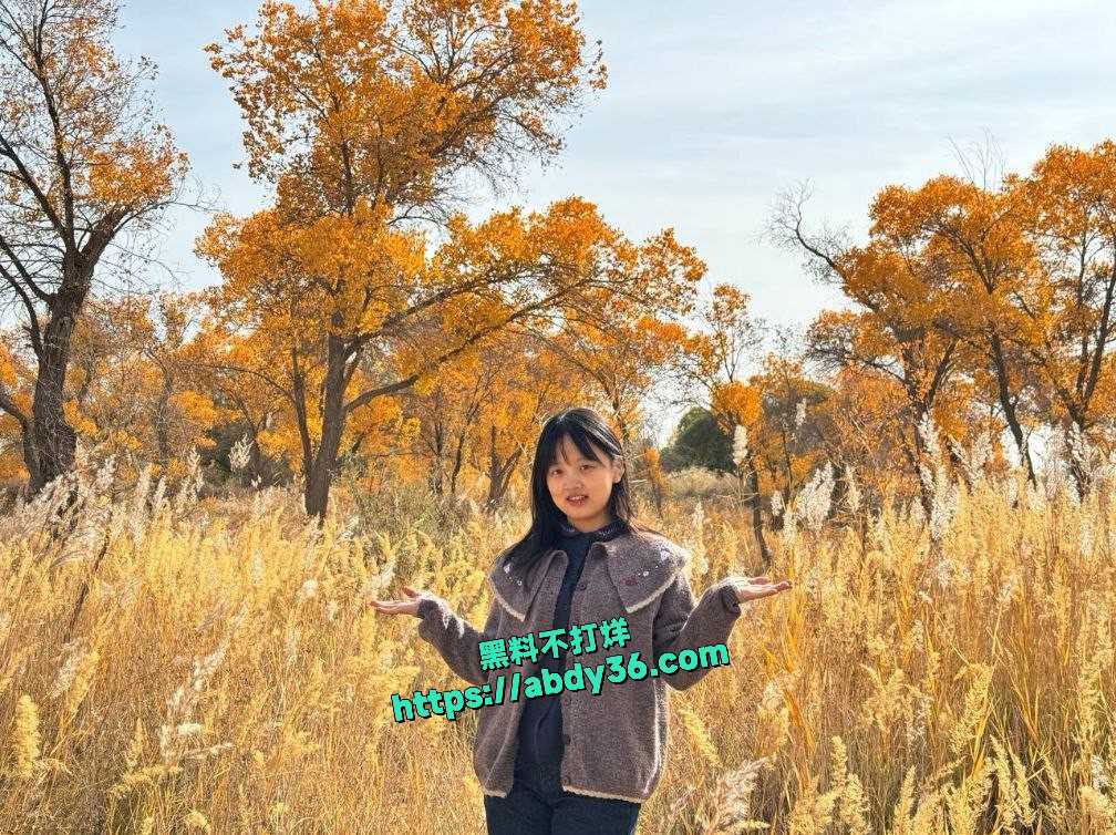 新增加的图 3