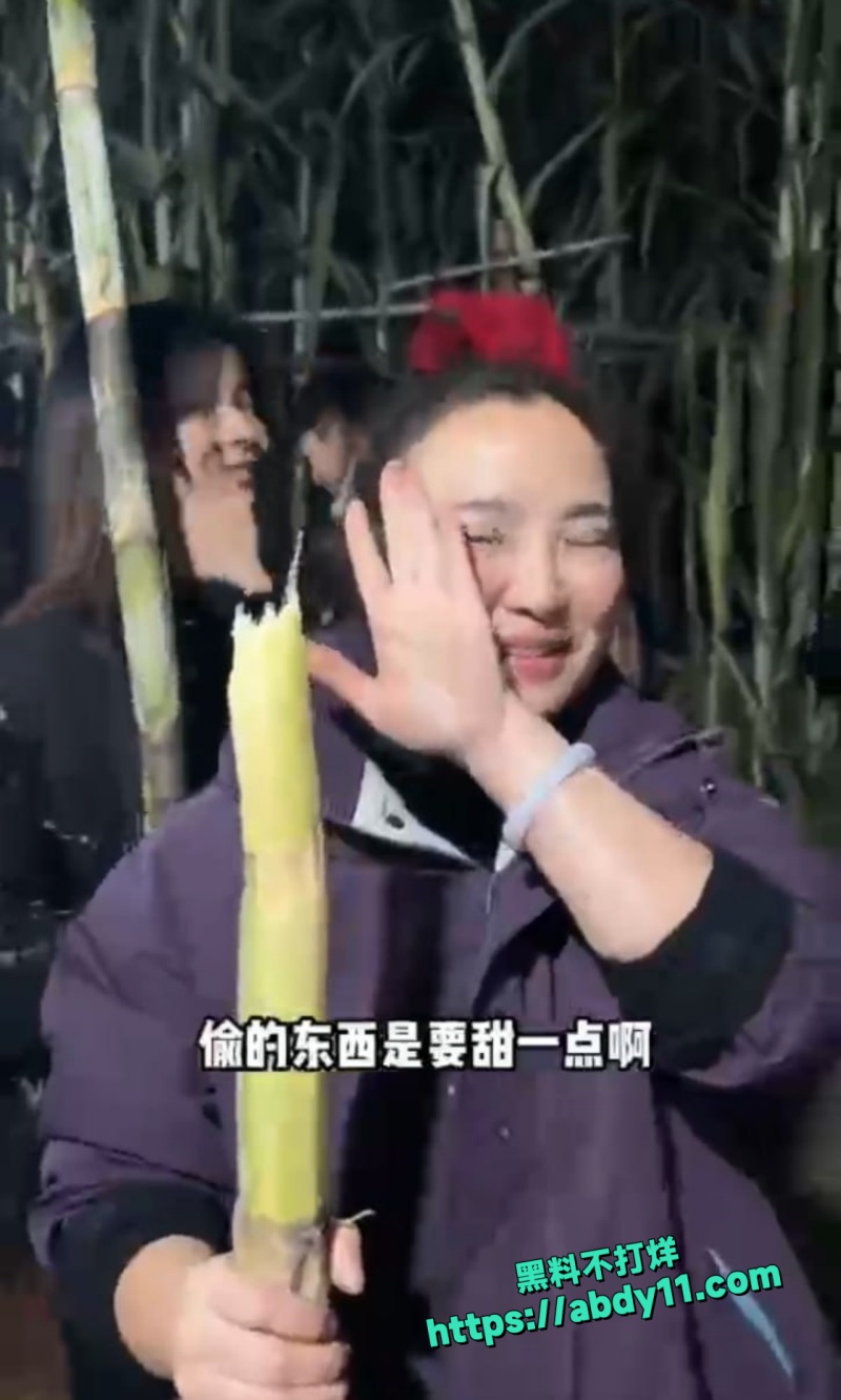 偷甘蔗活动5