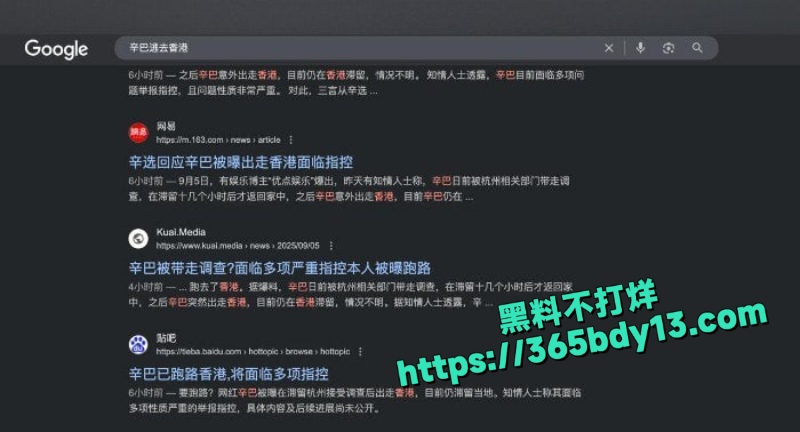 知名电商主播辛巴9