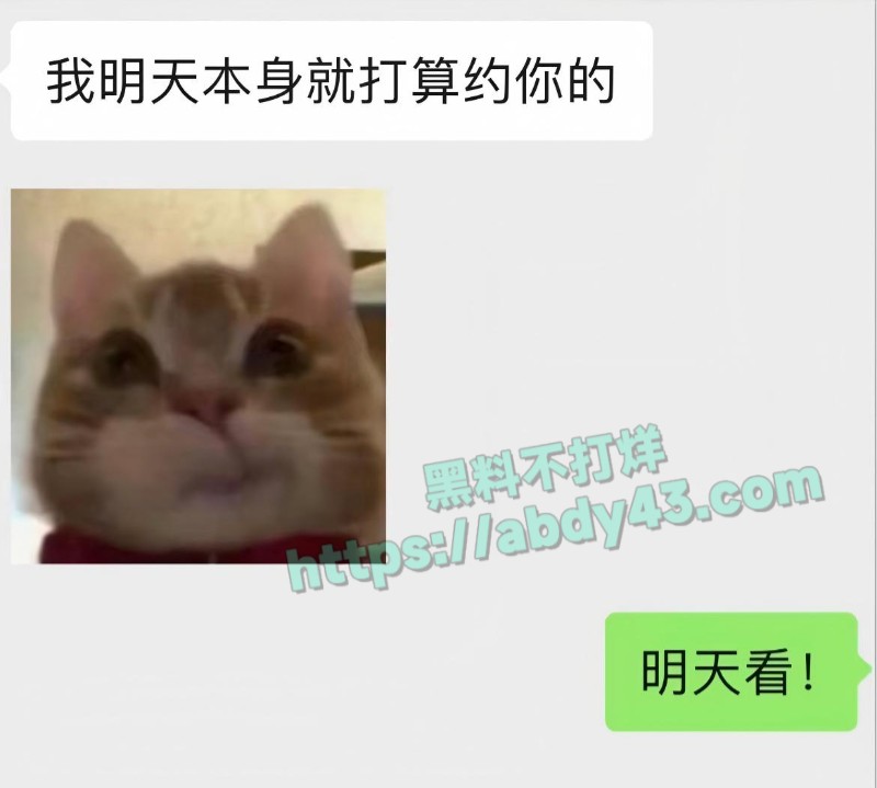 奶爸网红月野兔小樱17