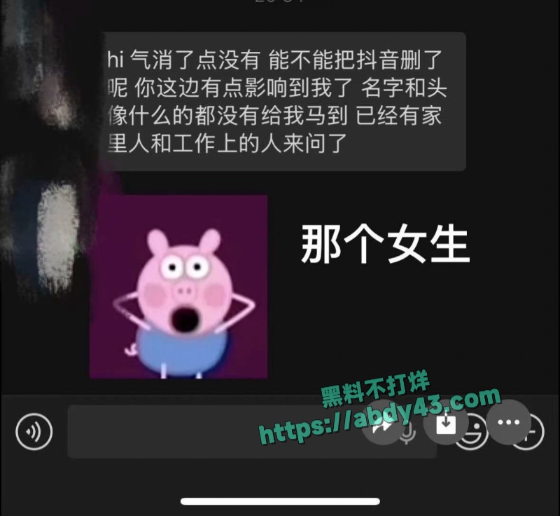 武汉W车队不吃猪肝 38