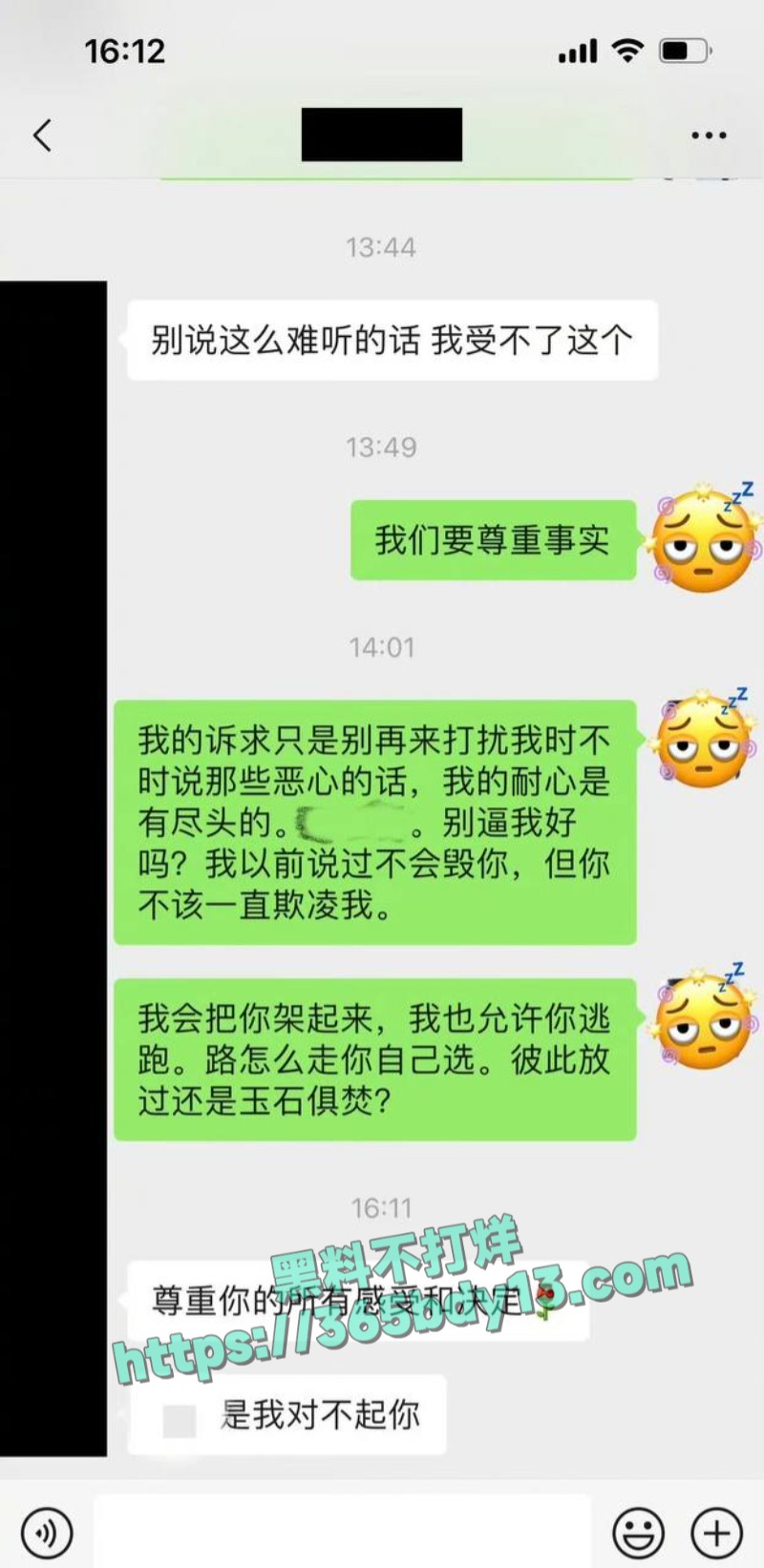 女网友与魏大勋聊天记录8
