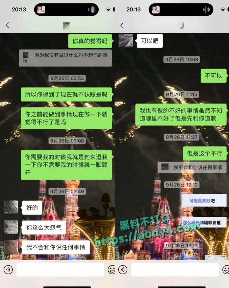 四川高颜值网红npc王晨软饭硬吃 16