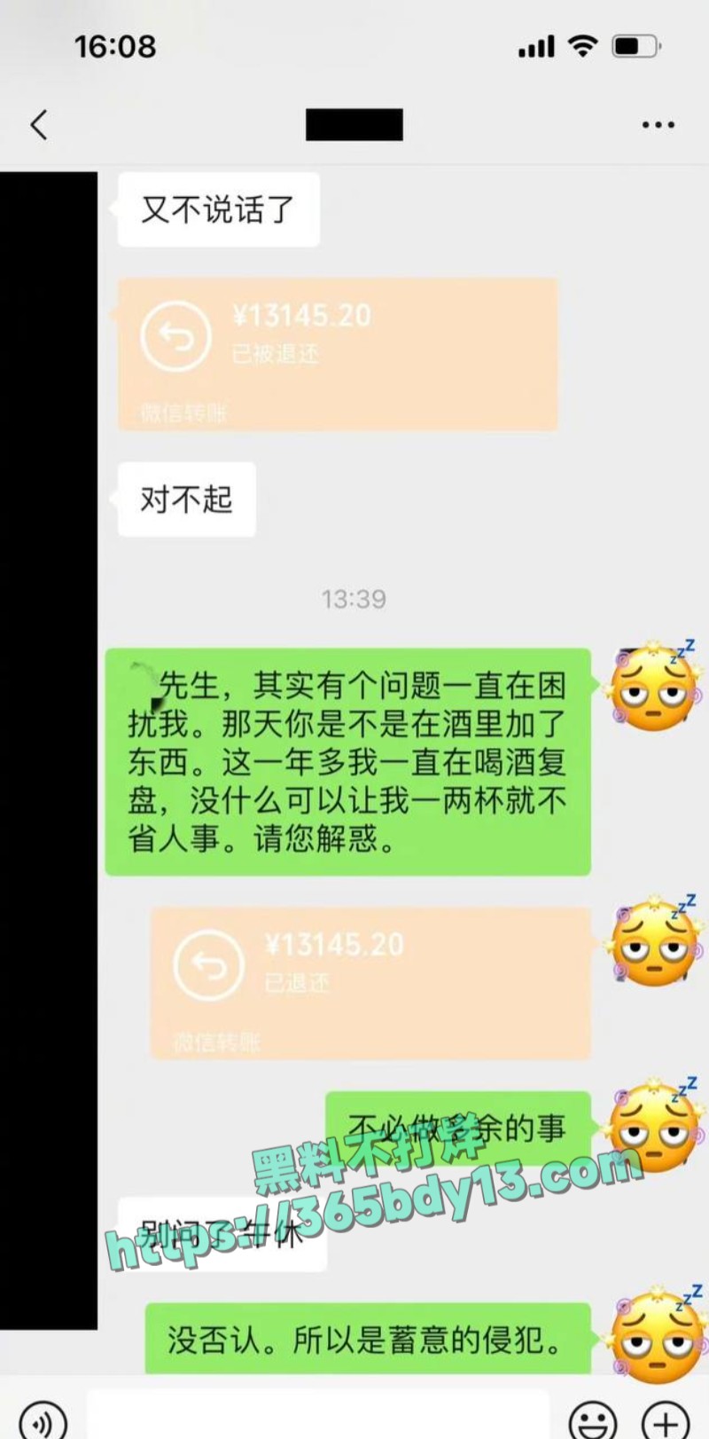 女网友与魏大勋聊天记录3