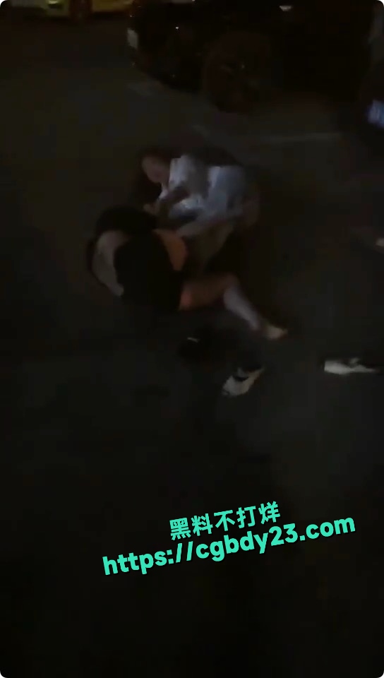 精神小妹打架3