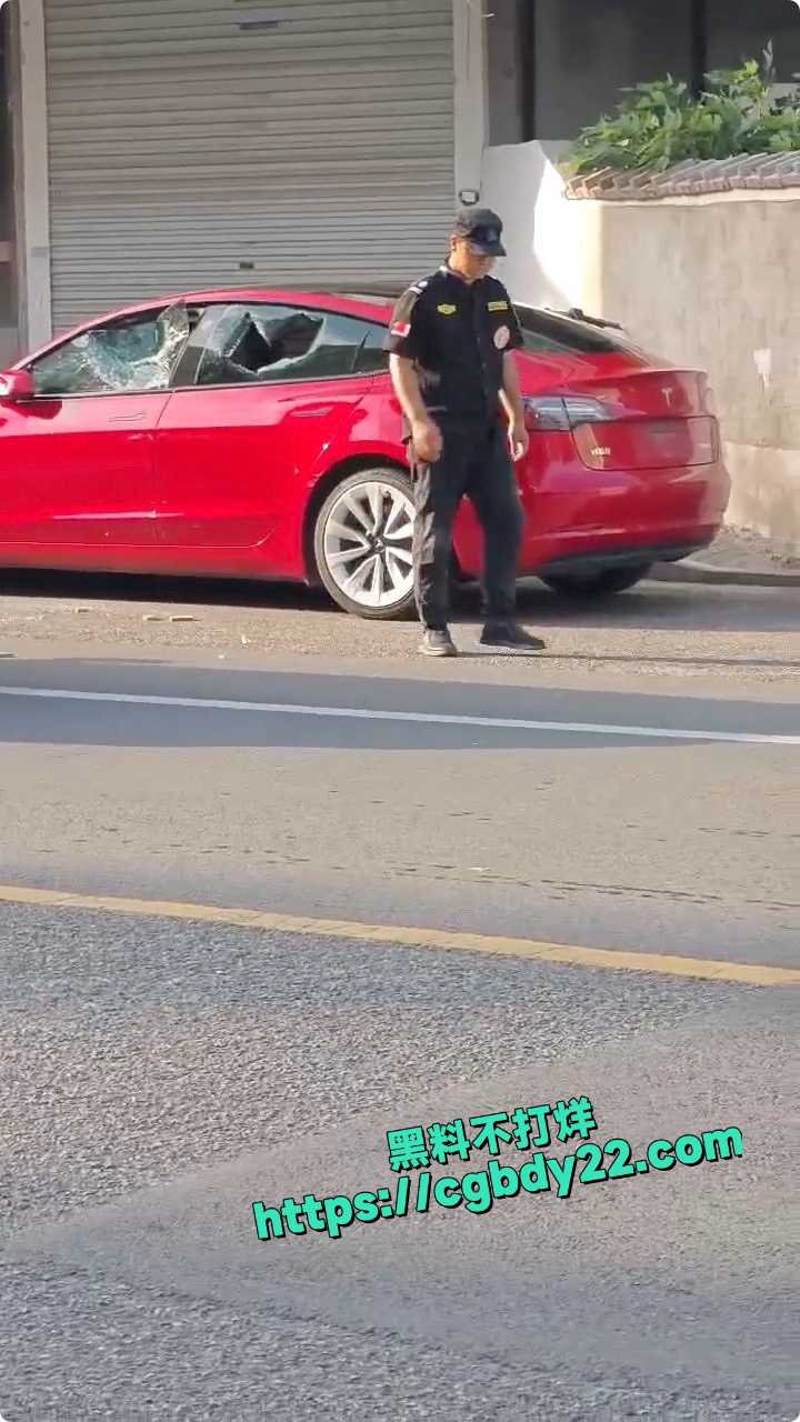 一月工资两千五 州一保安砸红色特斯拉7