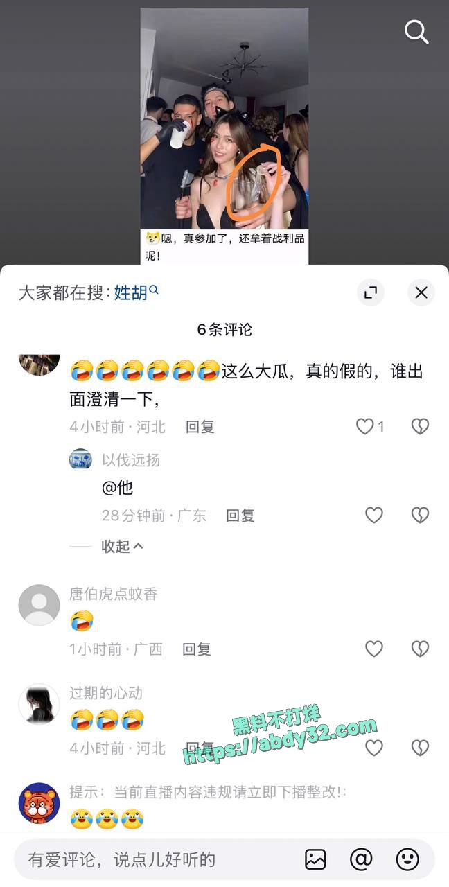 环球总编胡锡进女儿胡维佳国外开淫趴 12