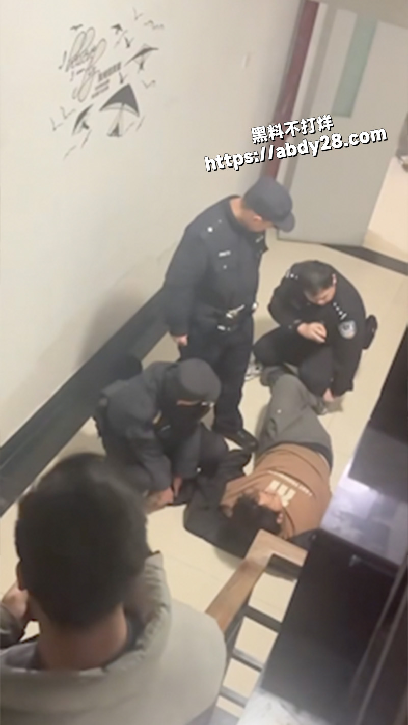 二次元作者写小说写疯了9