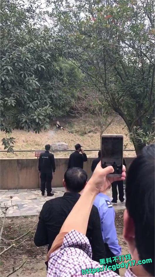 宁波老虎杀人事件1