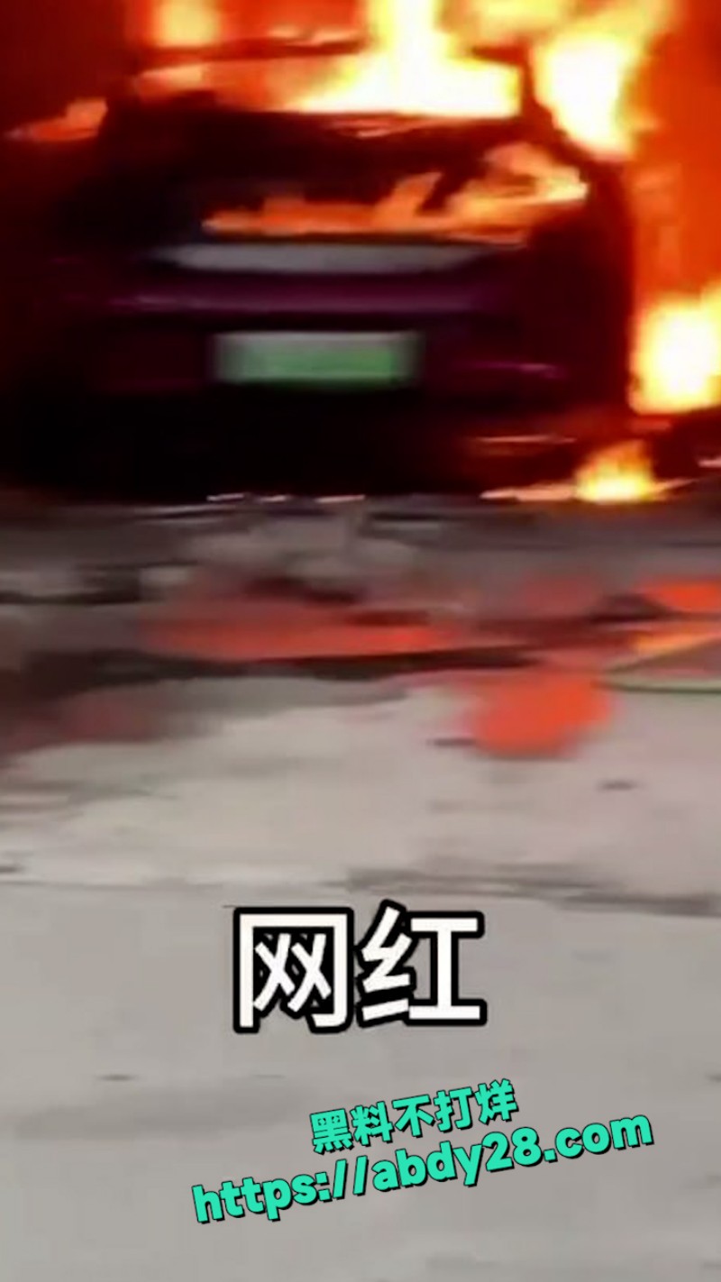 小米汽车在美容店发生起火 7