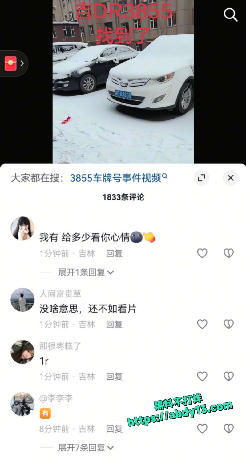 吉林熟男熟女野外偷情被当场抓包 6