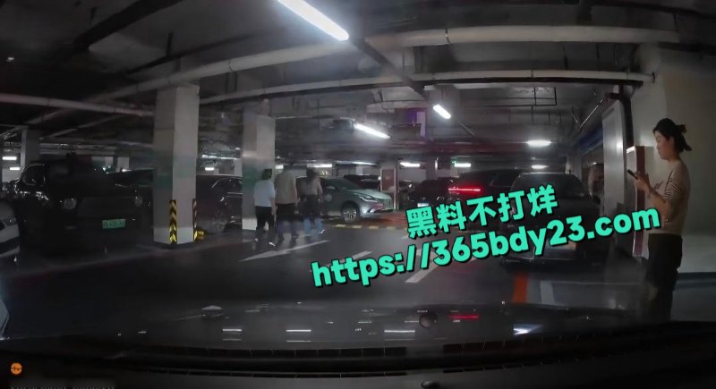 奥特莱斯停车场视频车主碰到阿姨人肉占车位8