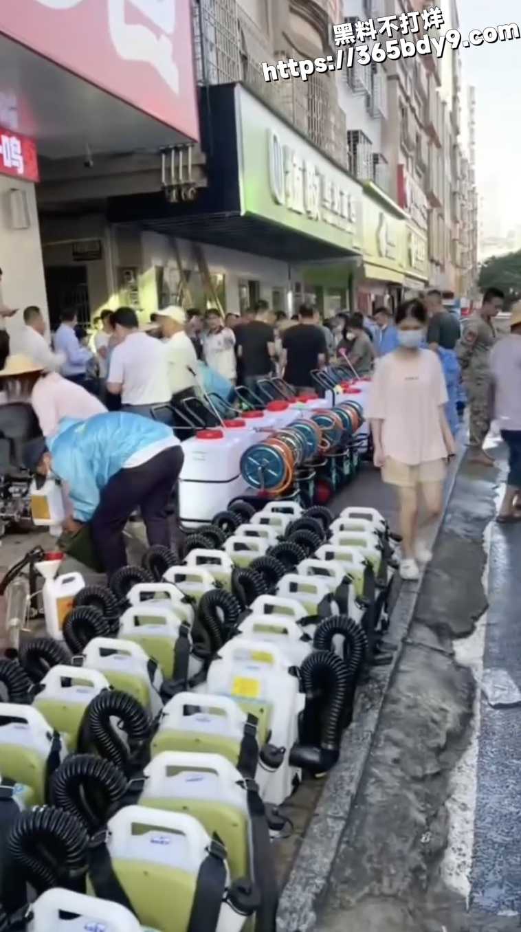 广州基孔肯雅热4