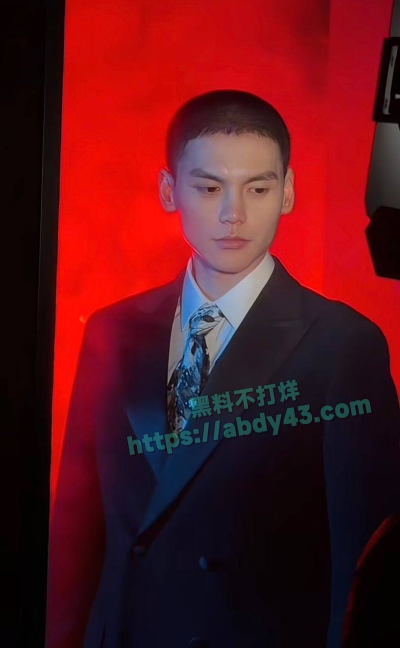 奶爸网红月野兔小樱44