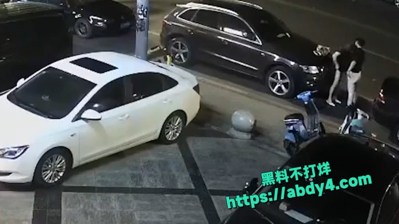 野鸳鸯精虫上脑 路边车旁激情啪啪  6