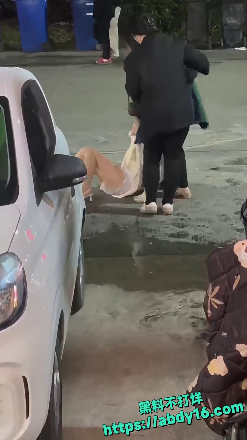 原配街头暴打小三撕衣7