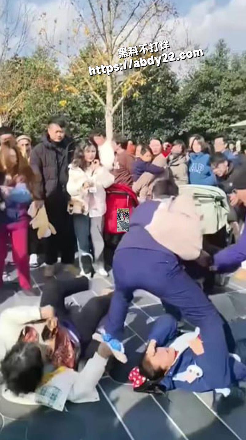 在上海迪士尼公园2