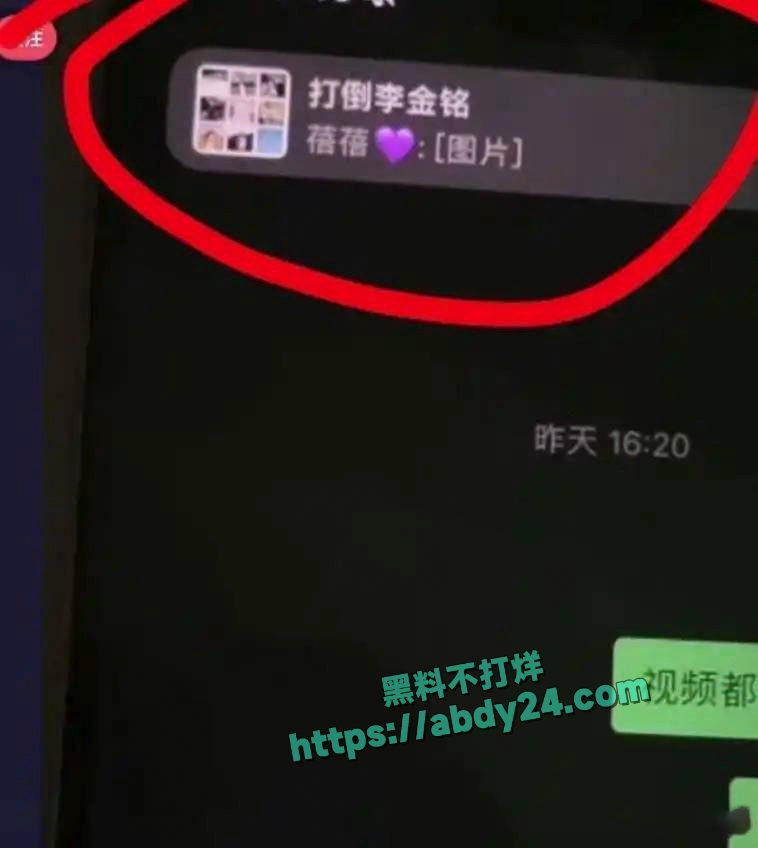 饰演爱情公寓陈美嘉的李金铭知三当三 33
