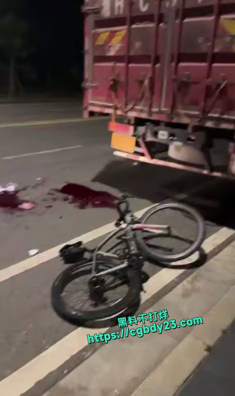 骑行自行车追尾货车了2