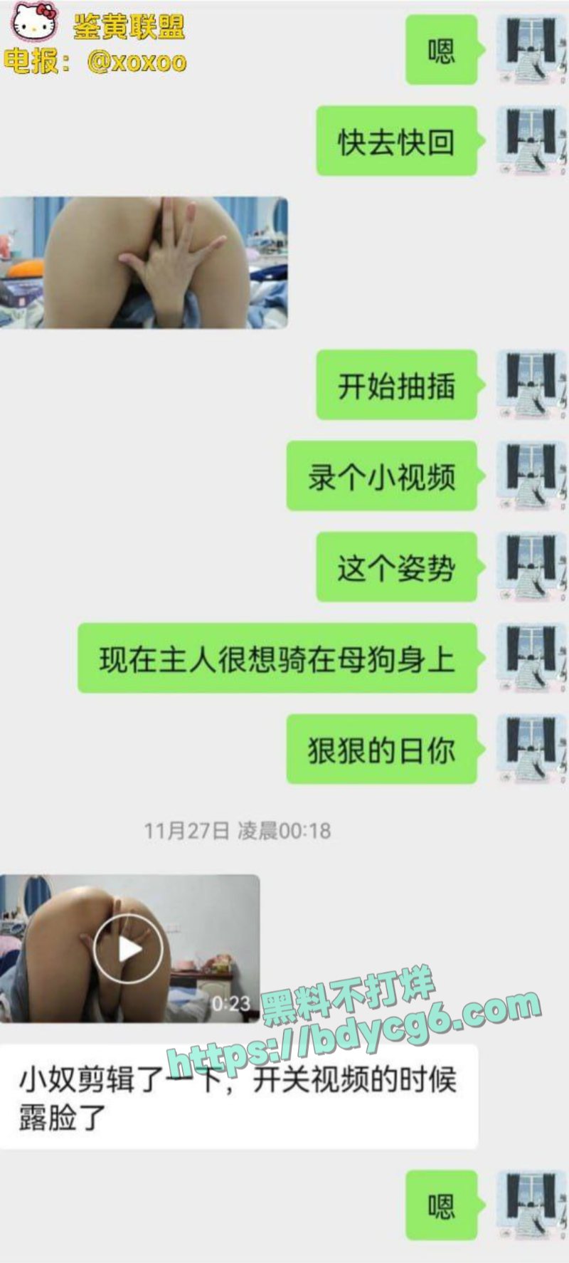 网调极品少女4