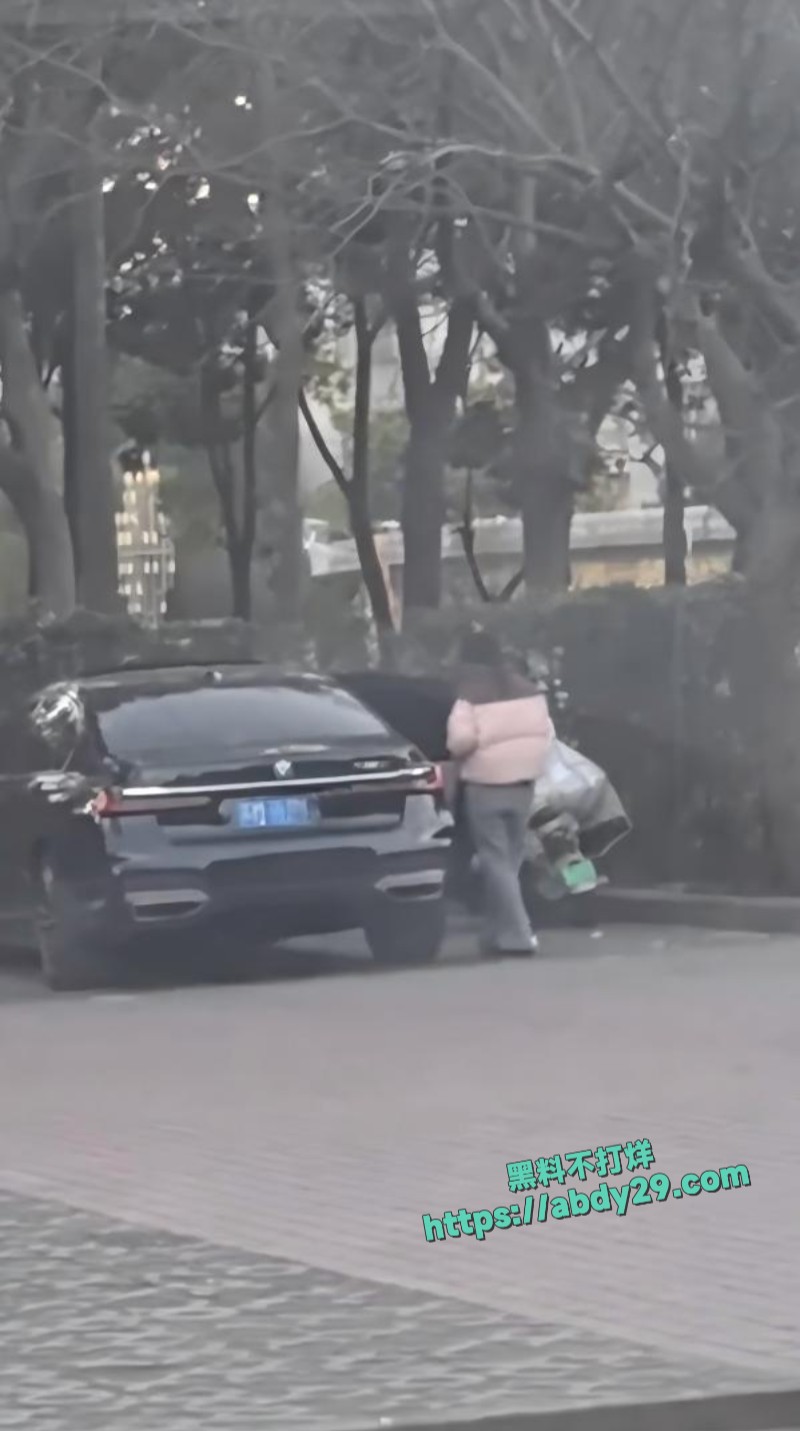 有钱人嫖娼直接玩车震2