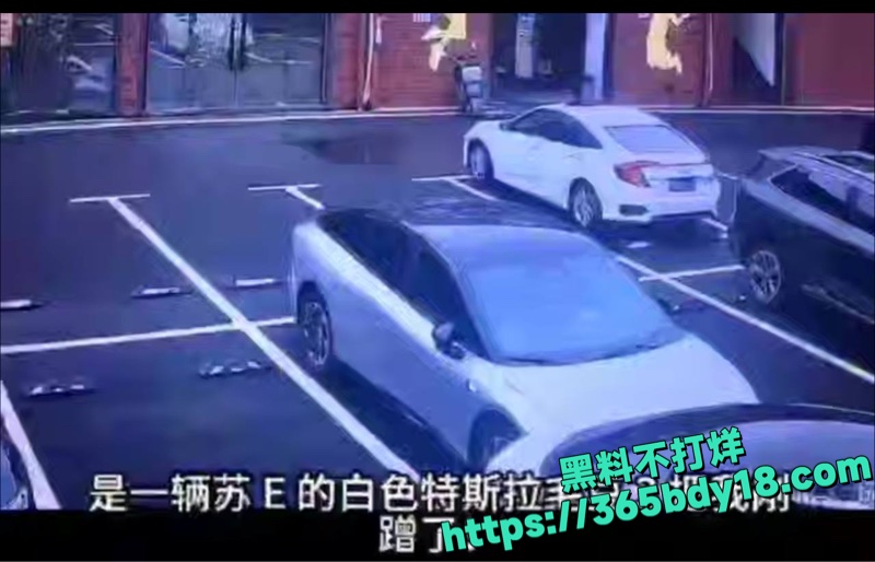 特斯拉大妈撞小鹏P7 3
