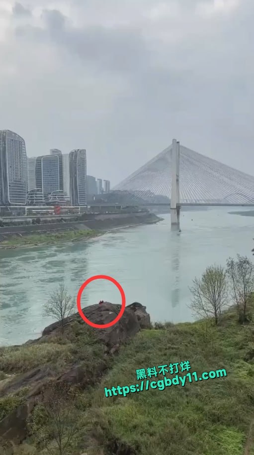 宜昌长江大桥大爷大妈吃鸡 (1).jpg