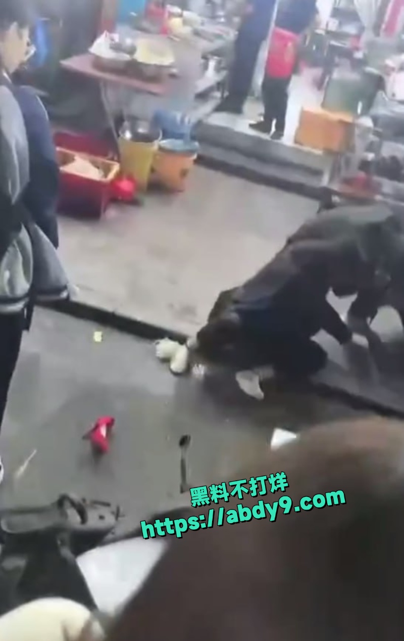 温州龙港池浦路街头抓小三视频曝光 1