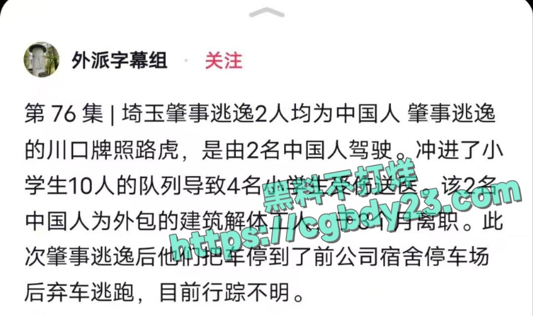 两名中国籍男性驾驶豪车撞伤4名日本小学生后逃逸 3