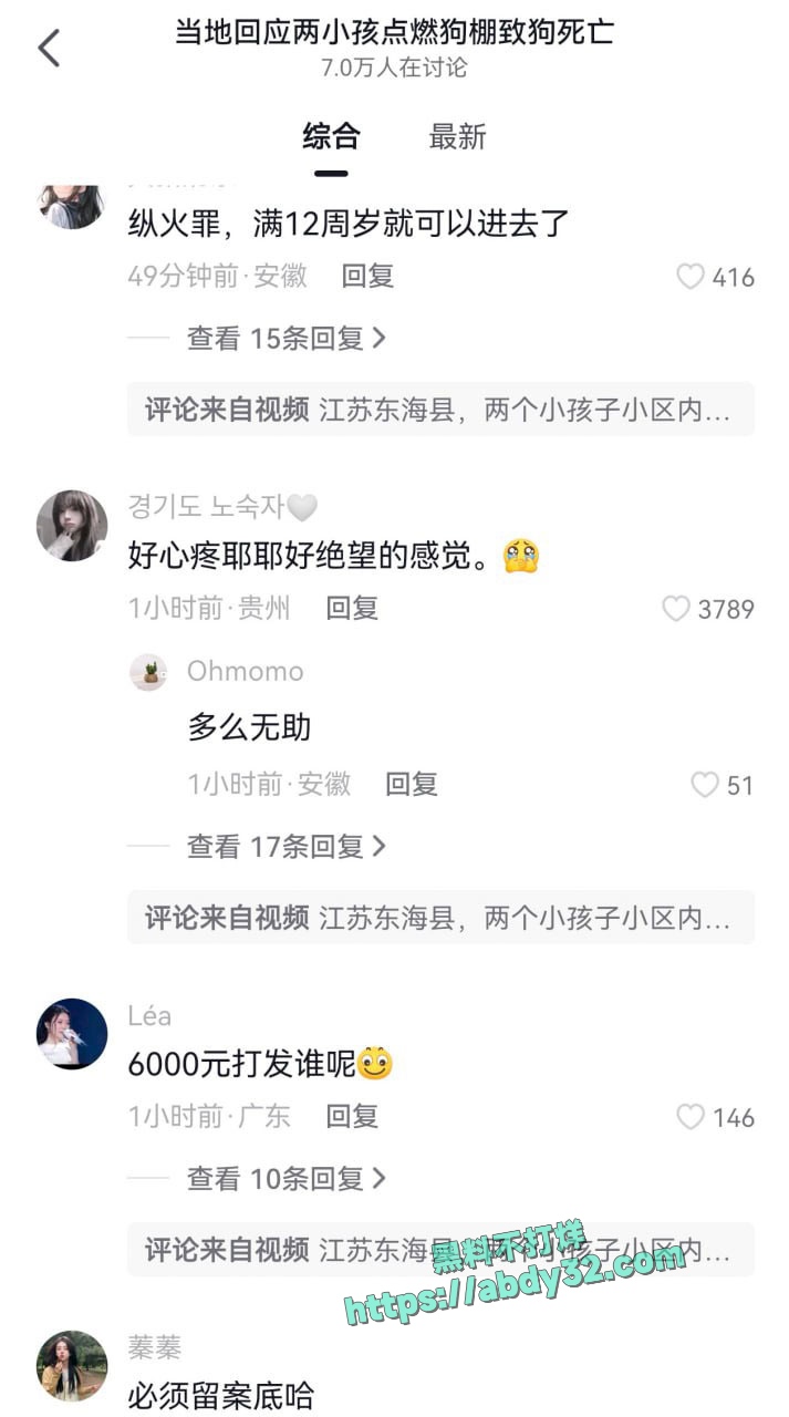 连云港两男孩烧死笼中萨摩耶  6