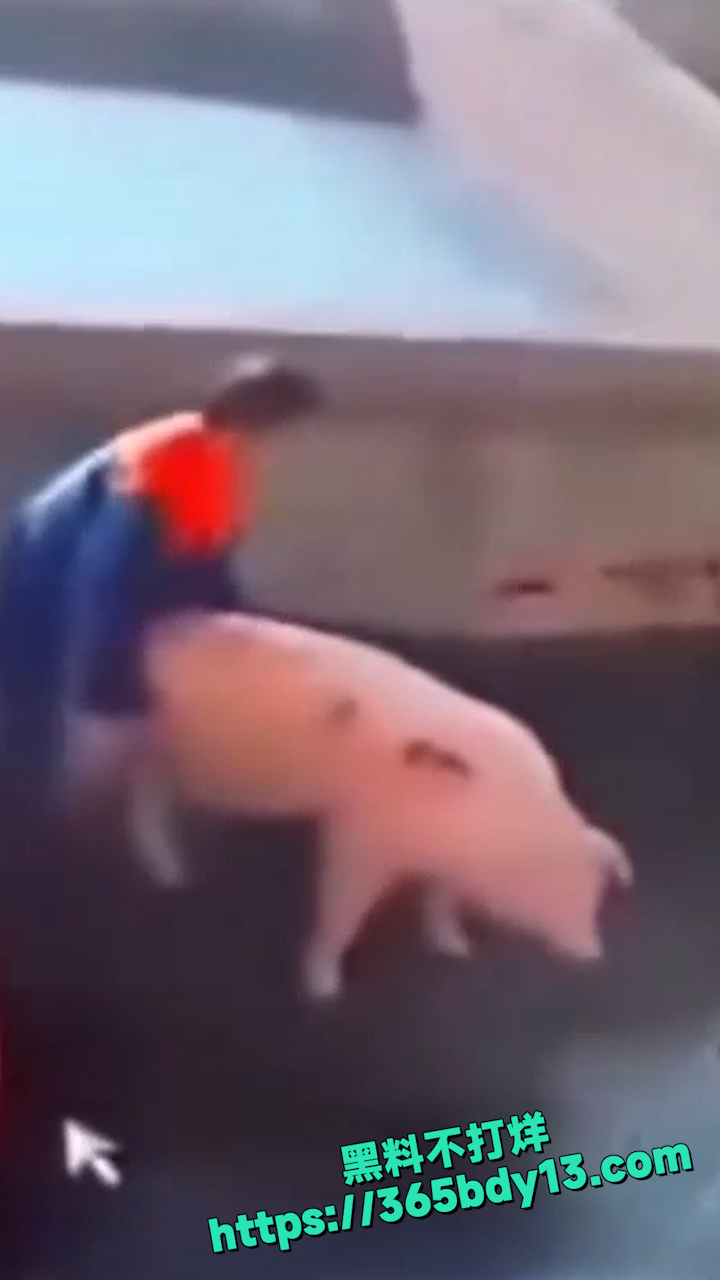 孤独三五年母狗赛貂蝉 7