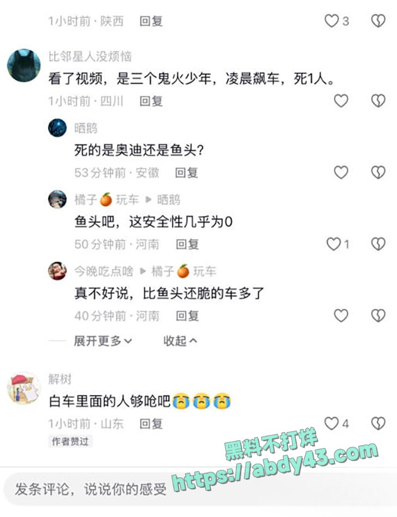 河北廊坊精神小伙飙车事故2