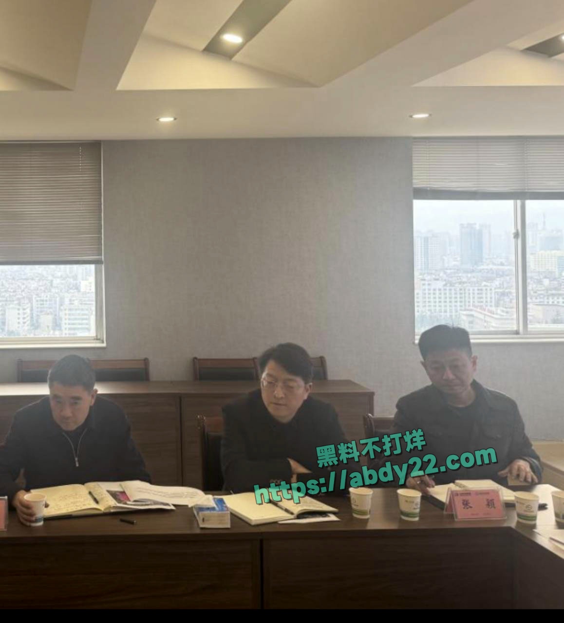 玉溪市元江县农业局副局长张颖出轨 34