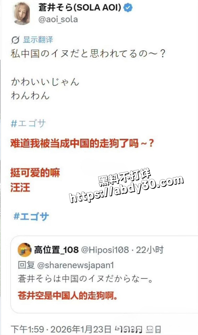 日本超人气女优 苍井空2