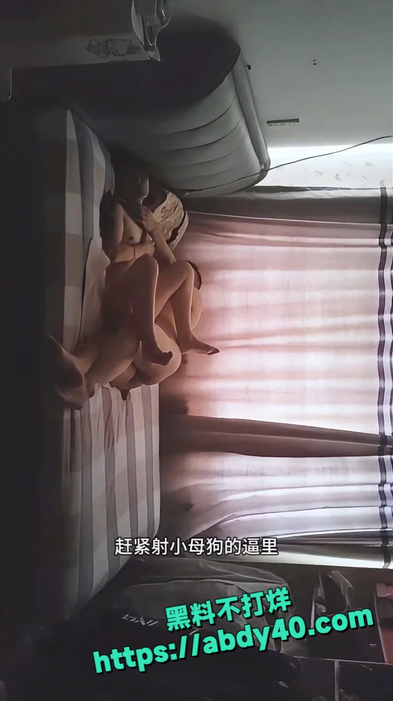 哈尔滨31岁 6