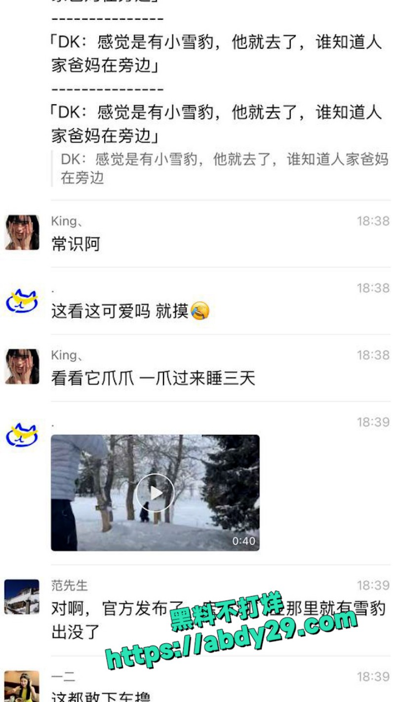 新疆可可托海发生雪豹伤人事件 8
