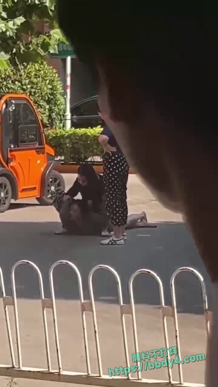 愤怒正妻当街暴打小三05