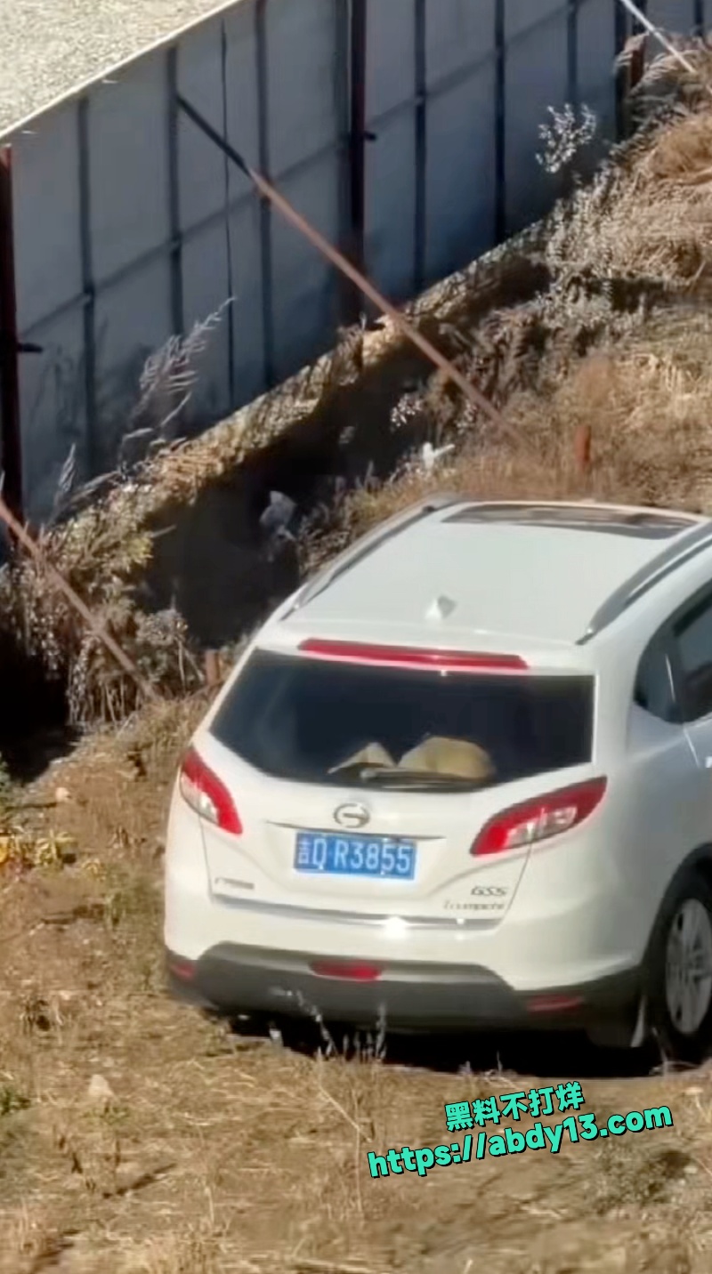 吉林熟男熟女野外偷情被当场抓包 9
