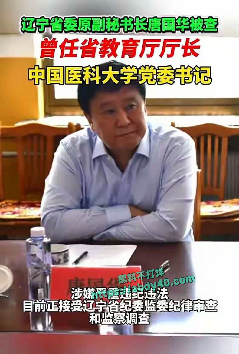 唐国华大幂幂什么关系 7