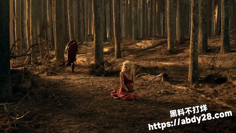 顶级黄暴美学6