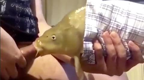牛逼啊 卧槽  操鱼 ！！！