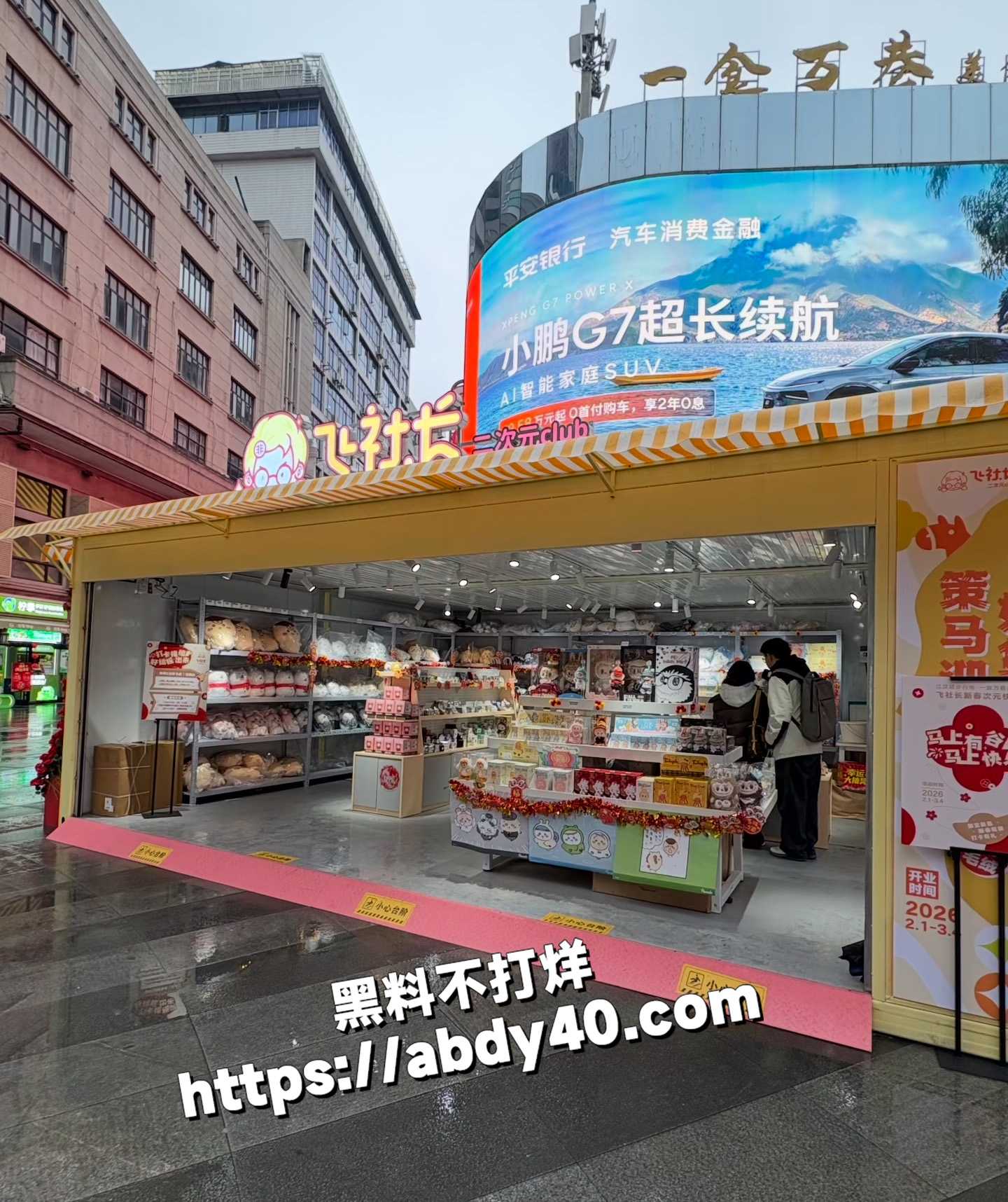 图8
