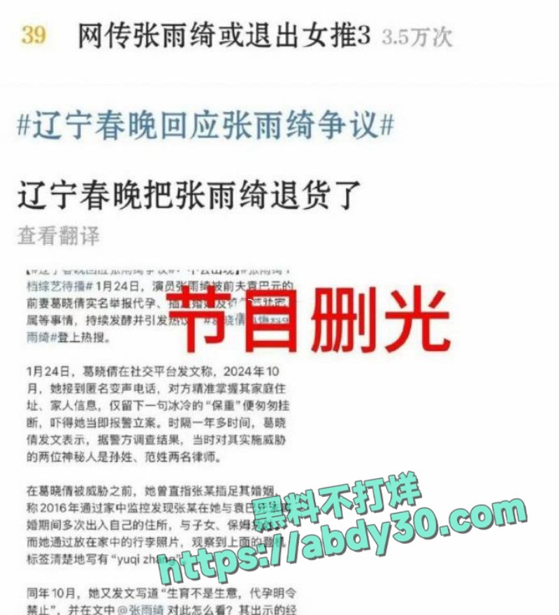 张雨绮前夫 袁巴元 19