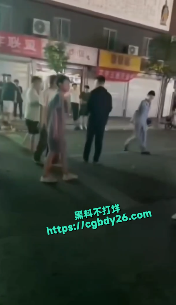 叶县商业街5