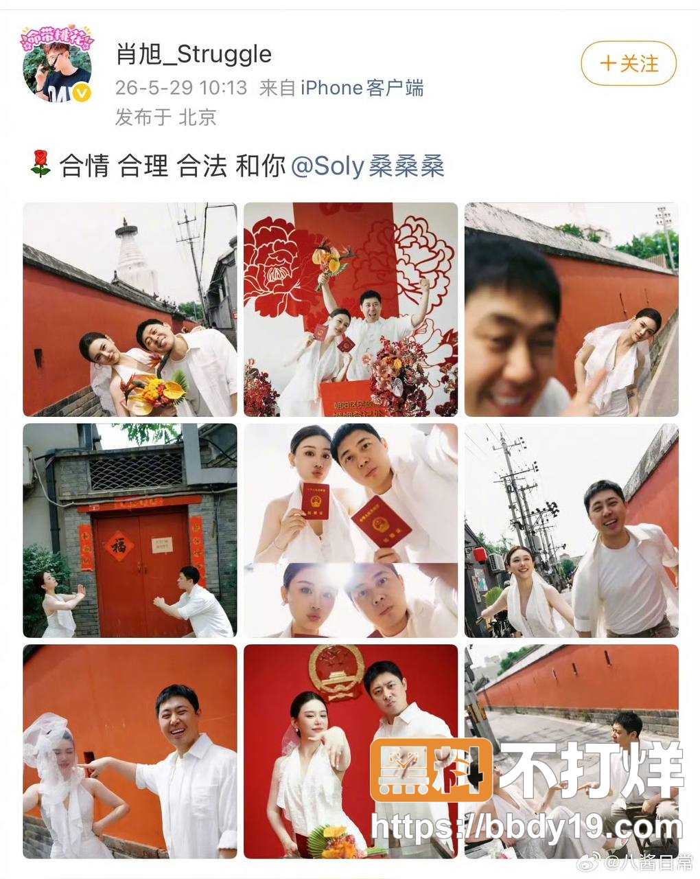 肖旭 石蕊4