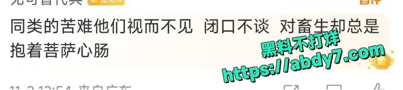 广东清远迎咀水库奇葩放生事件 1