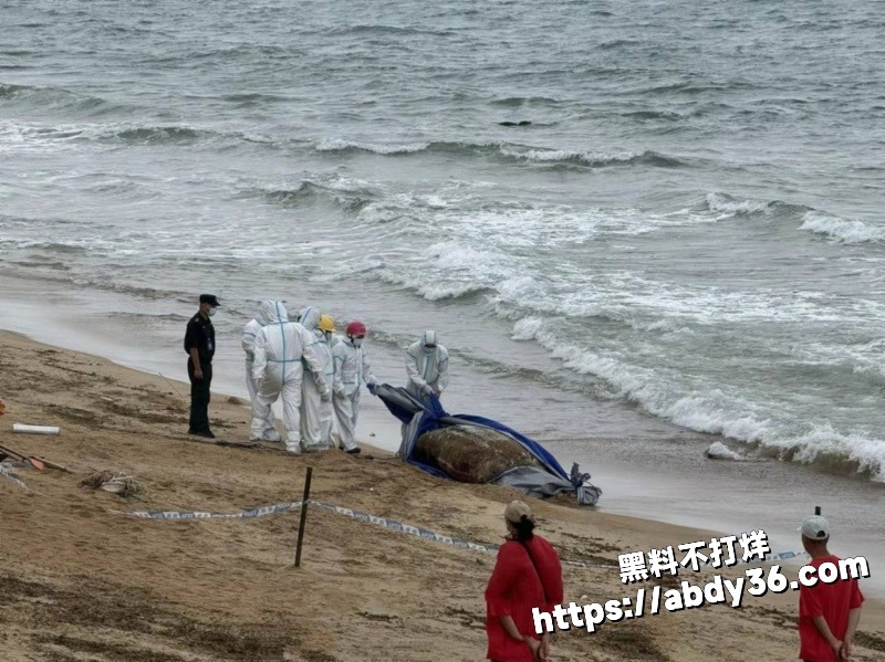 2026年2月多地突发事件合集 3