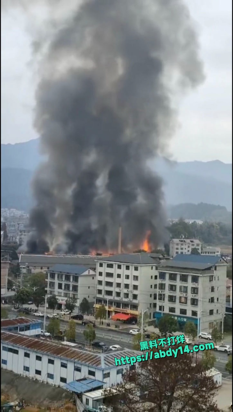 湖南株洲炎陵县工业园突发大火 6