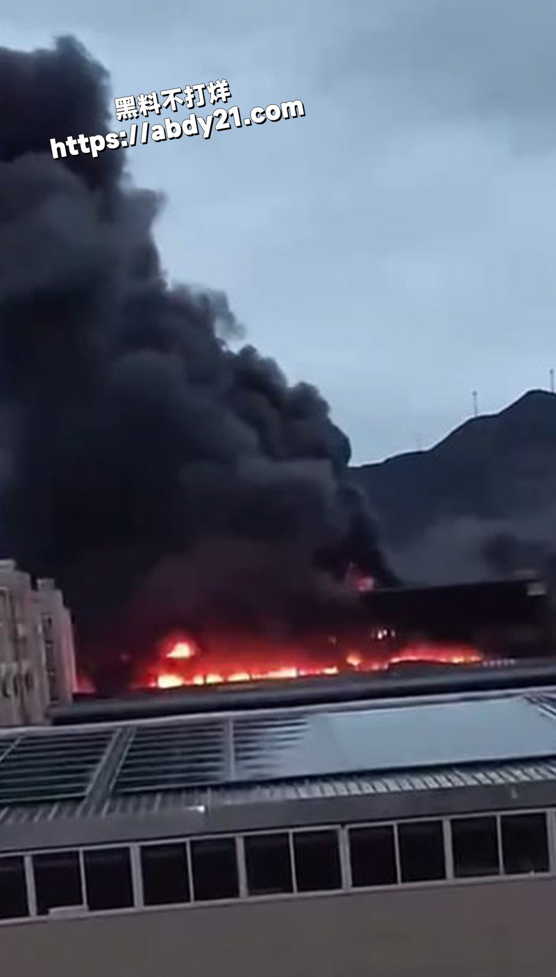 浙江平阳海西3